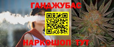 сатива Будённовск