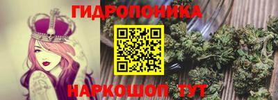 сатива Будённовск