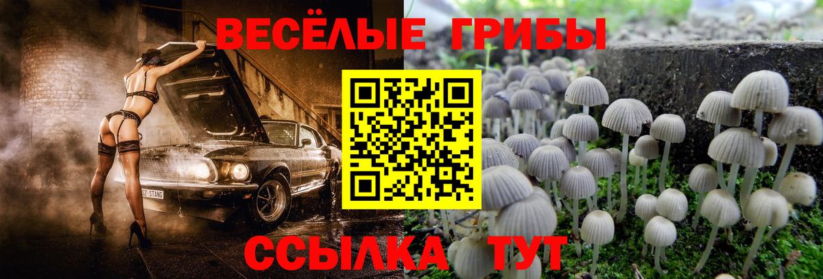 сколько стоит  Псилоцибиновые грибы MAGIC MUSHROOMS  Вход с VPN  Липецк 