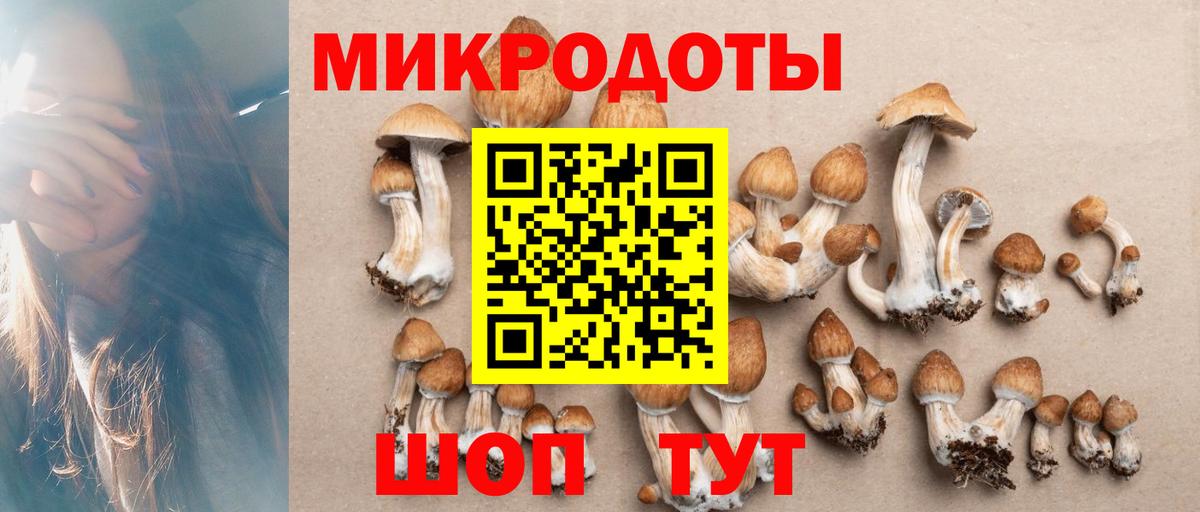 Псилоцибиновые грибы мухоморы Липецк